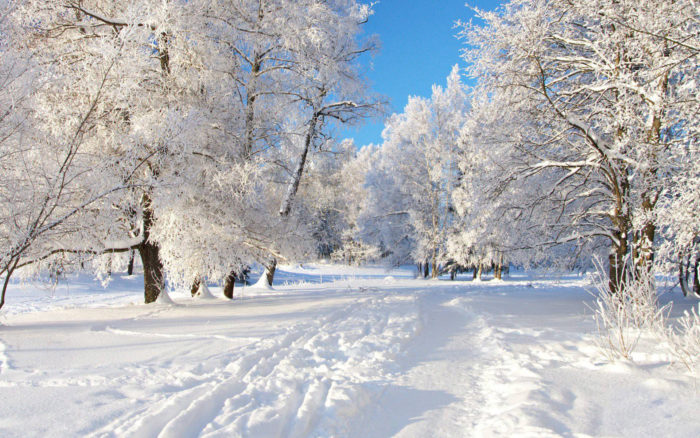winter-wallpaper-18-700x438 80 Winter Desktop Wallpapers To Download