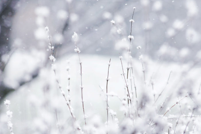 winter-wallpaper-21-700x467 80 Winter Desktop Wallpapers To Download