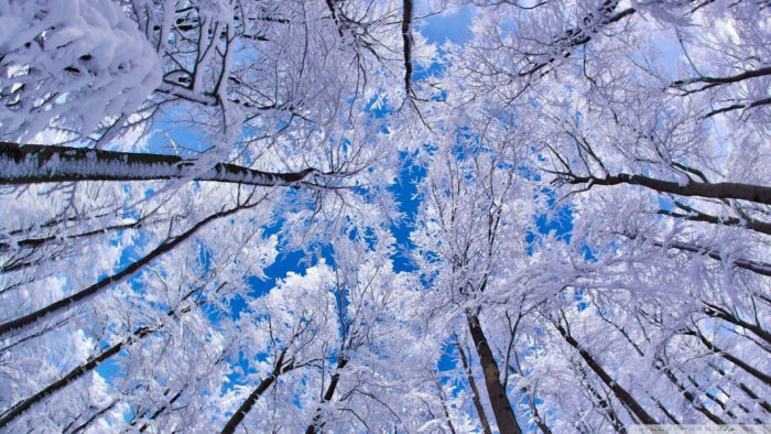 winter-wallpaper-27-700x394 80 Winter Desktop Wallpapers To Download