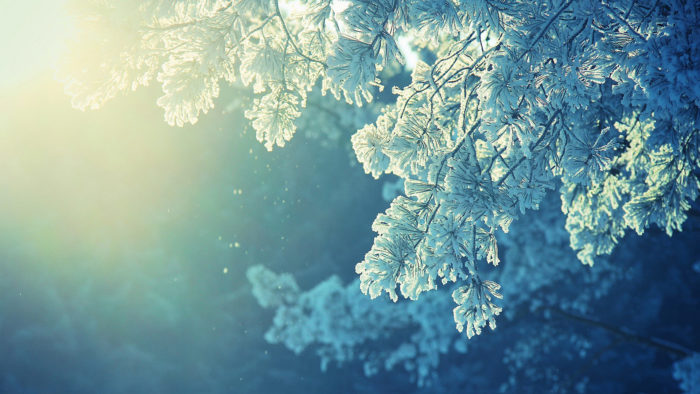 winter-wallpaper-37-700x394 80 Winter Desktop Wallpapers To Download