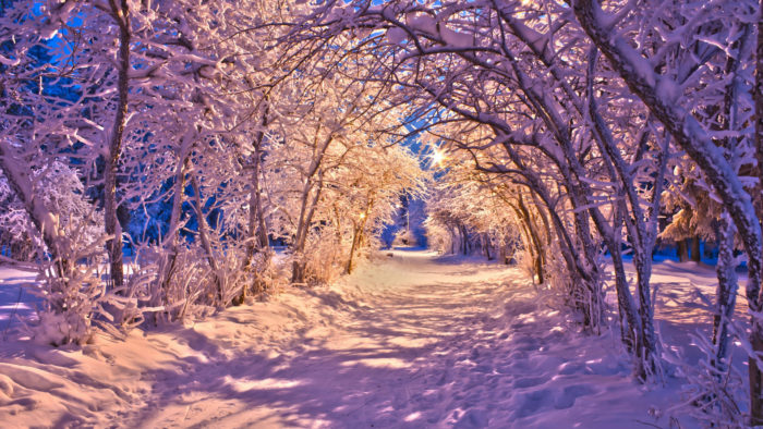 winter-wallpaper-41-700x394 80 Winter Desktop Wallpapers To Download