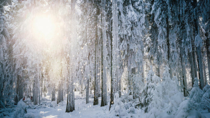 winter-wallpaper-43-700x394 80 Winter Desktop Wallpapers To Download