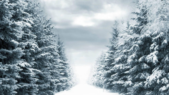 winter-wallpaper-47-700x394 80 Winter Desktop Wallpapers To Download