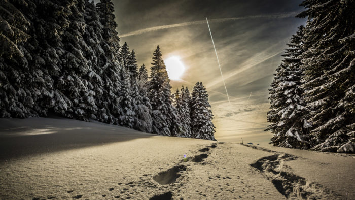 winter-wallpaper-62-700x394 80 Winter Desktop Wallpapers To Download