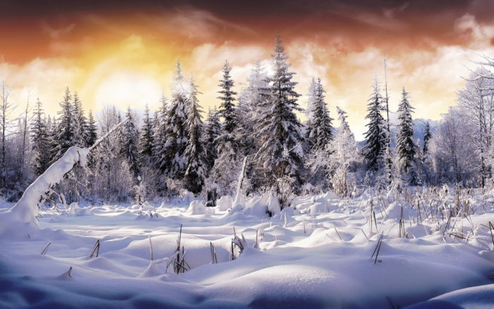 winter-wallpaper-64-700x438 80 Winter Desktop Wallpapers To Download