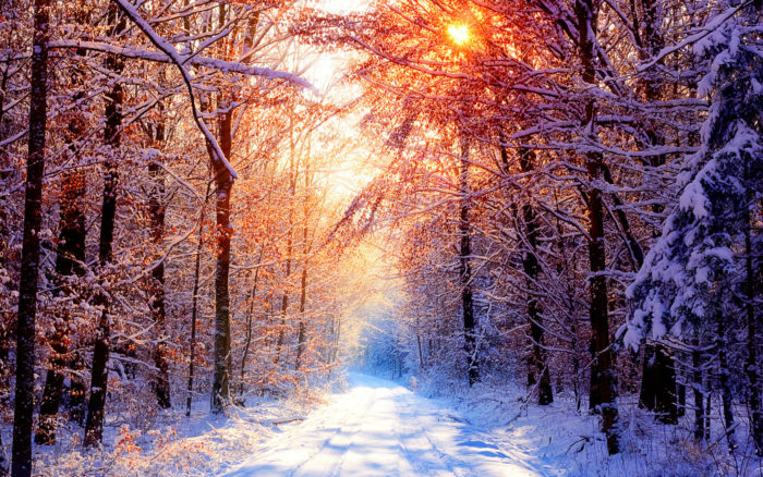 winter-wallpaper-69-700x438 80 Winter Desktop Wallpapers To Download