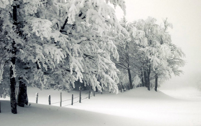 winter-wallpaper-72-700x438 80 Winter Desktop Wallpapers To Download