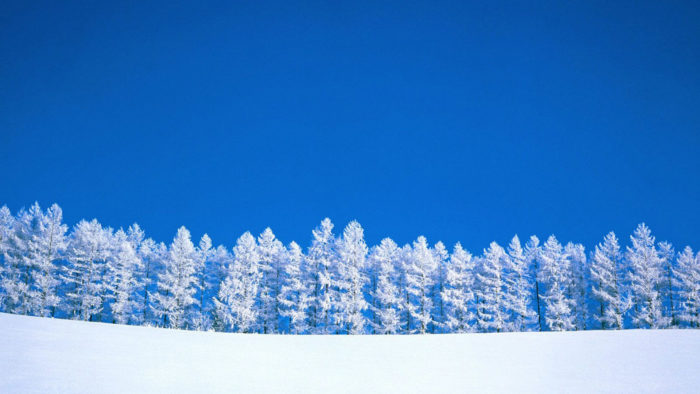 winter-wallpaper-8-700x394 80 Winter Desktop Wallpapers To Download