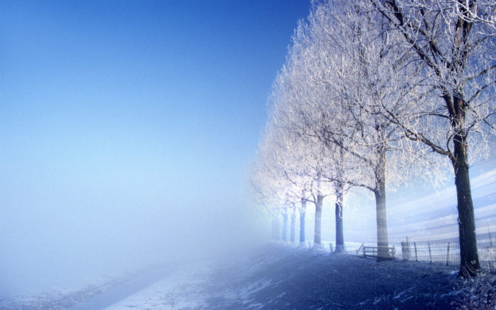 winter-wallpaper-80-700x438 80 Winter Desktop Wallpapers To Download