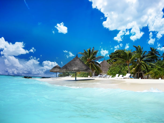 beach_life-wallpapers 129 Beach Wallpapers To Put On Your Desktop Background