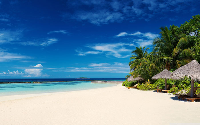 palm_trees_on_ocean_coast-wallpapers 129 Beach Wallpapers To Put On Your Desktop Background